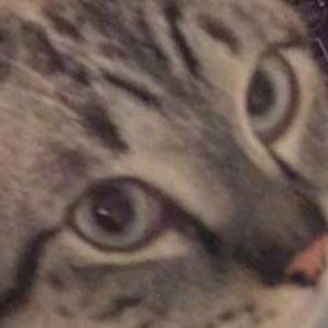 Meet your Posher, Bones